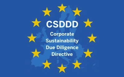 CSDDDҵɳչְָ